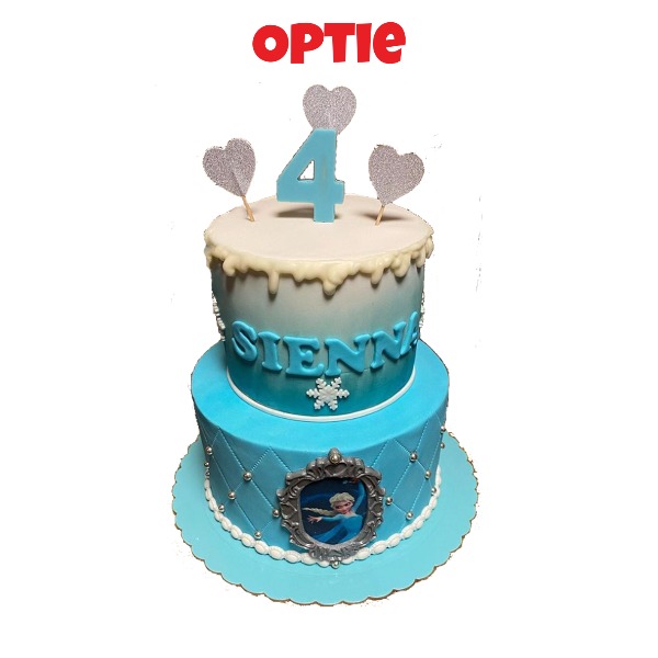 Frozen Topfeest kasteel set